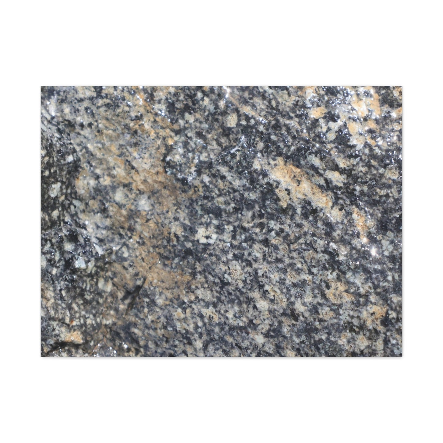 Metamorphic Memory - Unique Frameless Canvas Wall Art - Art By Earth