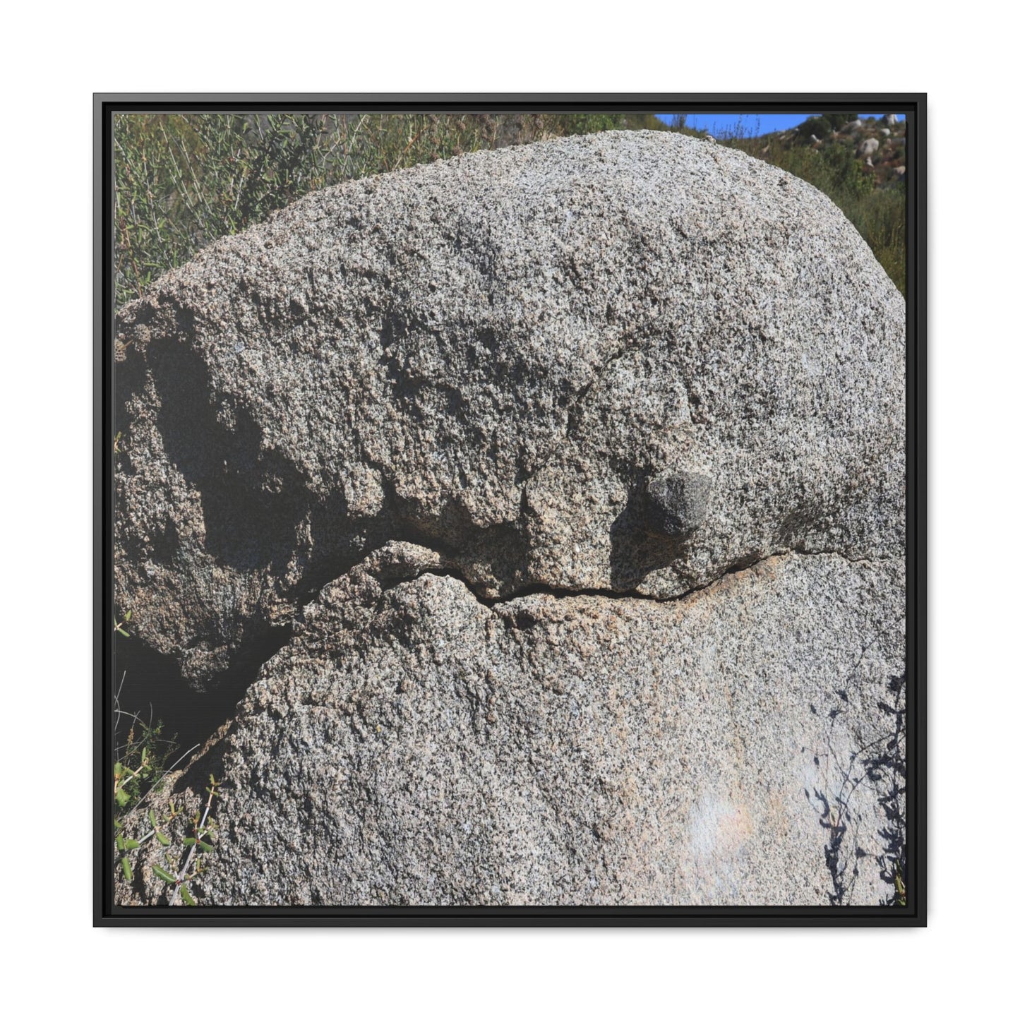 Stone Skull in Desert - Unique Stretched Canvas Wall Art