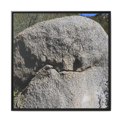 Stone Skull in Desert - Unique Stretched Canvas Wall Art