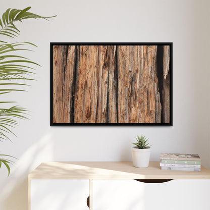 Timber Echoes - Unique Stretched Canvas Wall Art - Art By Earth