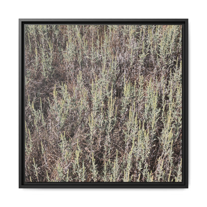 Sage Fields Forever - Unique Stretched Canvas Wall Art - Art By Earth