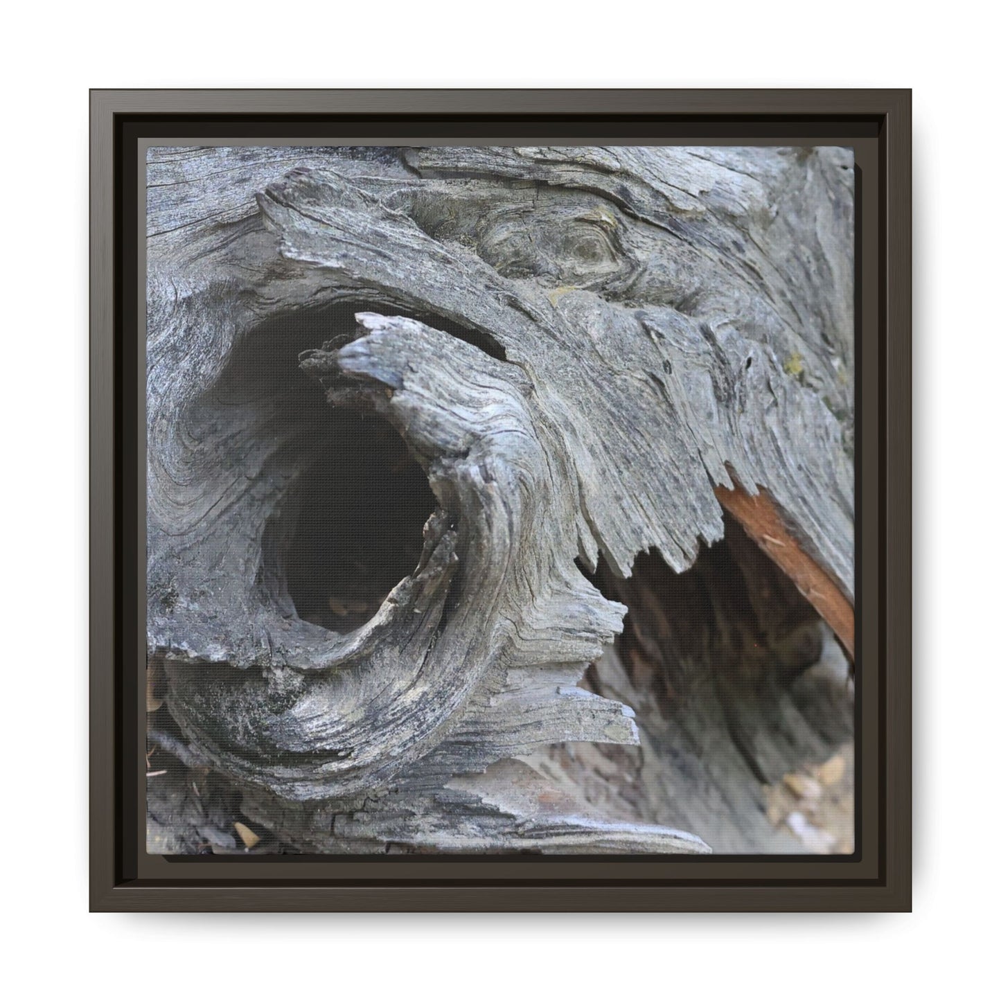 Bark's Labyrinth - Unique Stretched Canvas Wall Art - Art By Earth