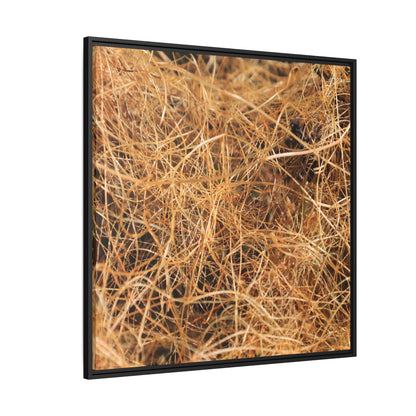 Dried Grass - Unique Stretched Canvas Wall Art - Art By Earth