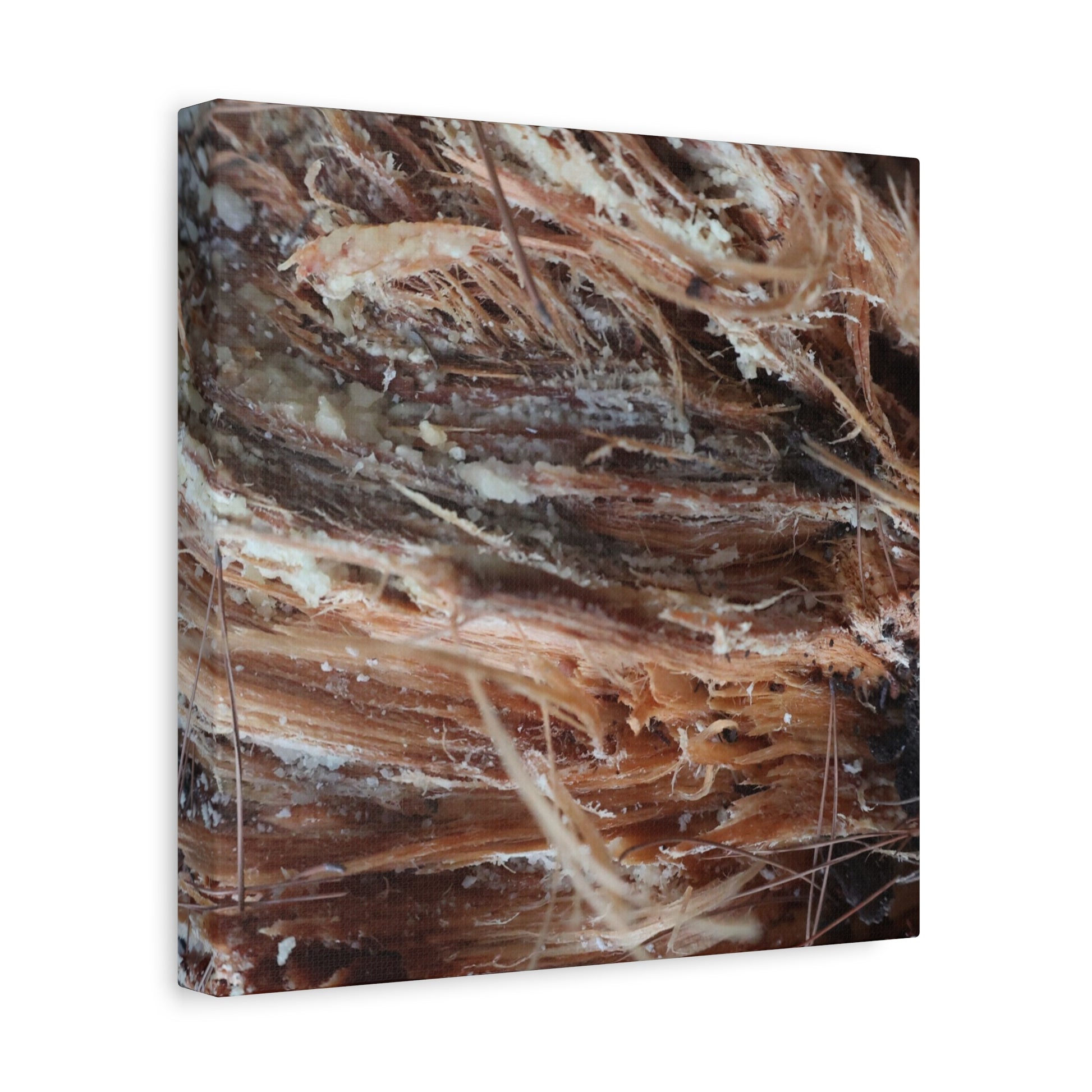 Decaying Whispers - Unique Frameless Canvas Wall Art - Art By Earth