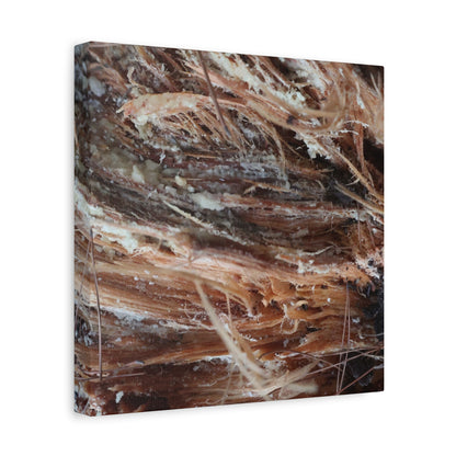 Decaying Whispers - Unique Frameless Canvas Wall Art - Art By Earth