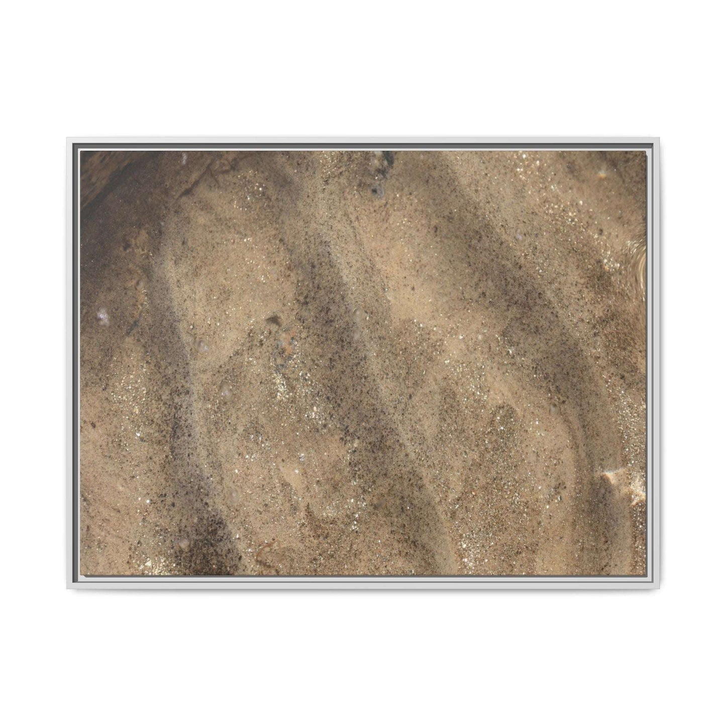 Tidal Pool Secrets - Unique Stretched Canvas Wall Art - Art By Earth