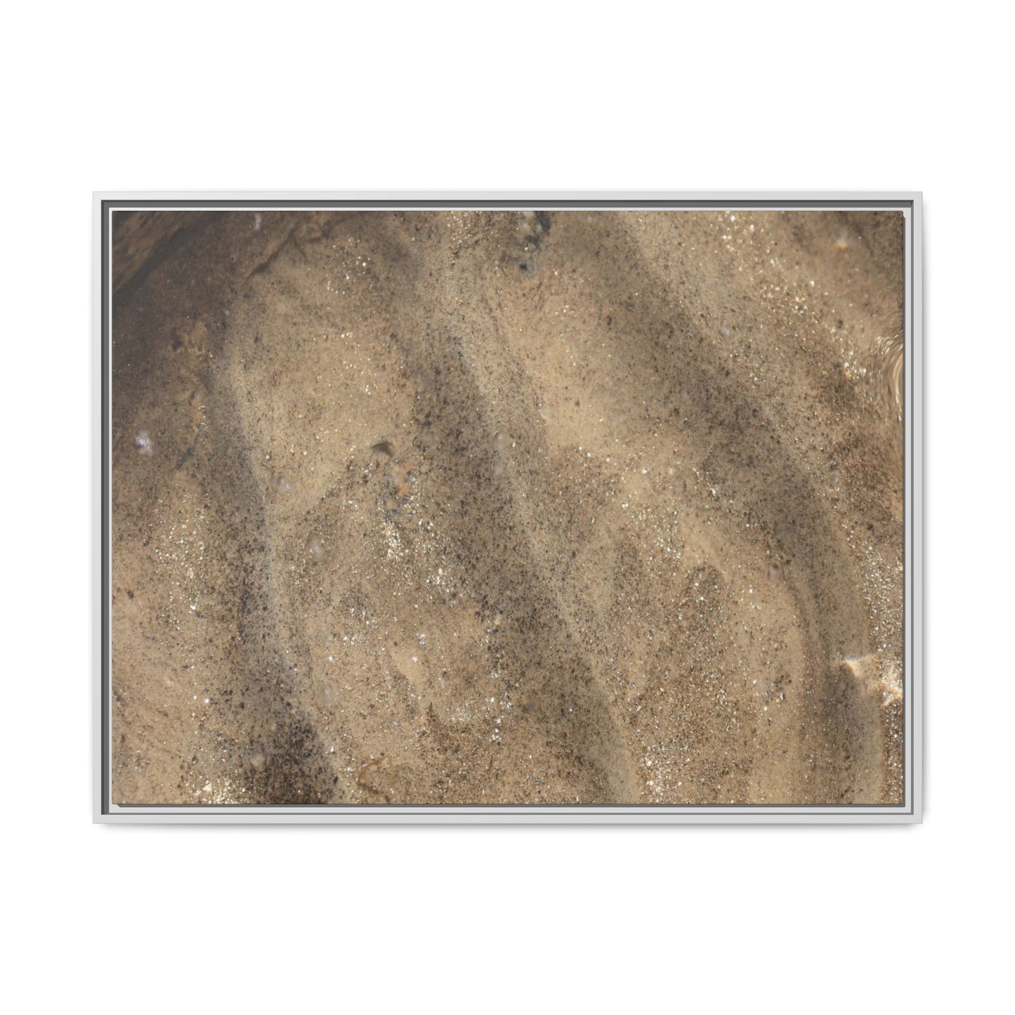 Tidal Pool Secrets - Unique Stretched Canvas Wall Art - Art By Earth