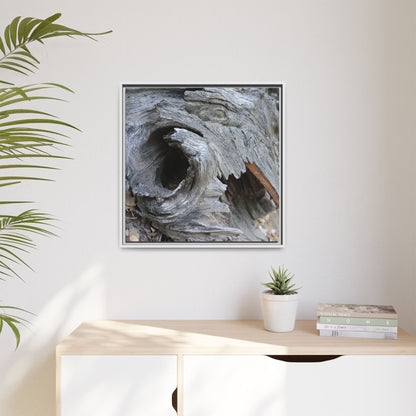 Bark's Labyrinth - Unique Stretched Canvas Wall Art - Art By Earth