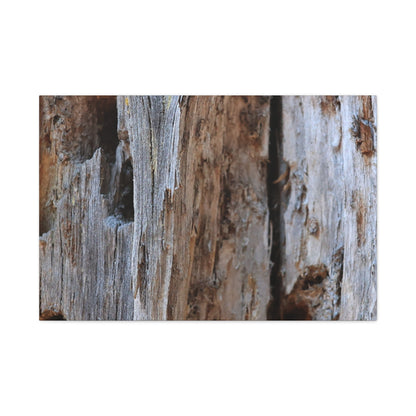 Timber Tapestry - Unique Frameless Canvas Wall Art - Art By Earth