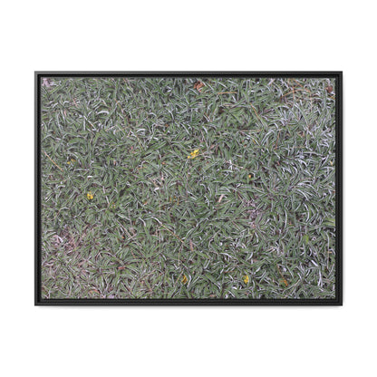 Grassy Texture - Unique Stretched Canvas Wall Art - Art By Earth