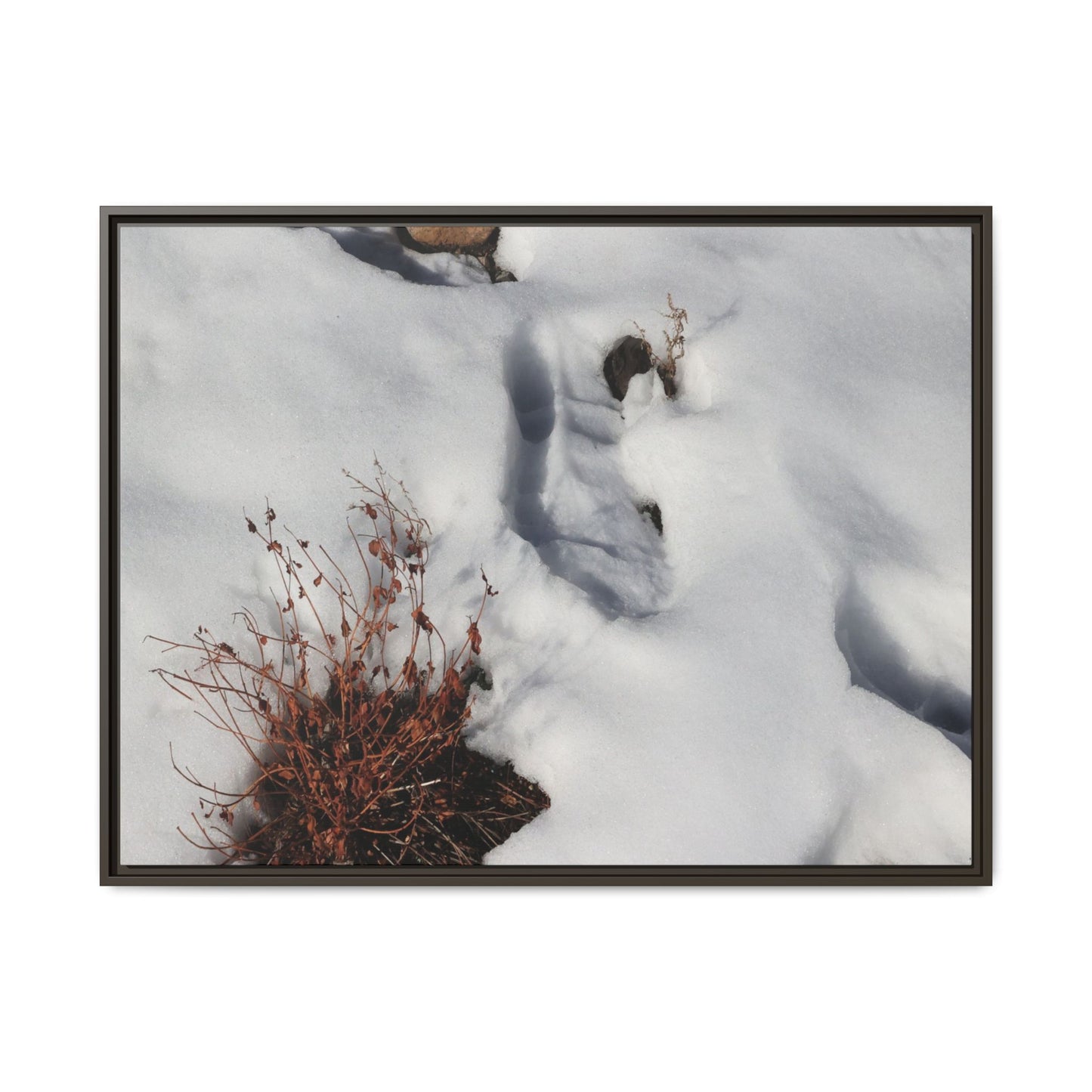 Frostbound Whispers - Unique Stretched Canvas Wall Art