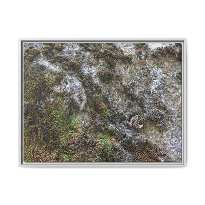 Mossy Whispers - Unique Stretched Canvas Wall Art - Art By Earth