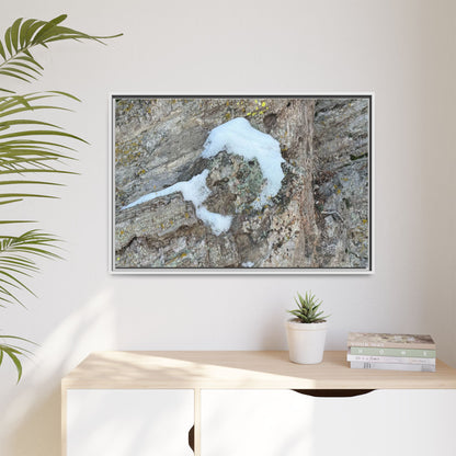 Lichen's Embrace - Unique Stretched Canvas Wall Art