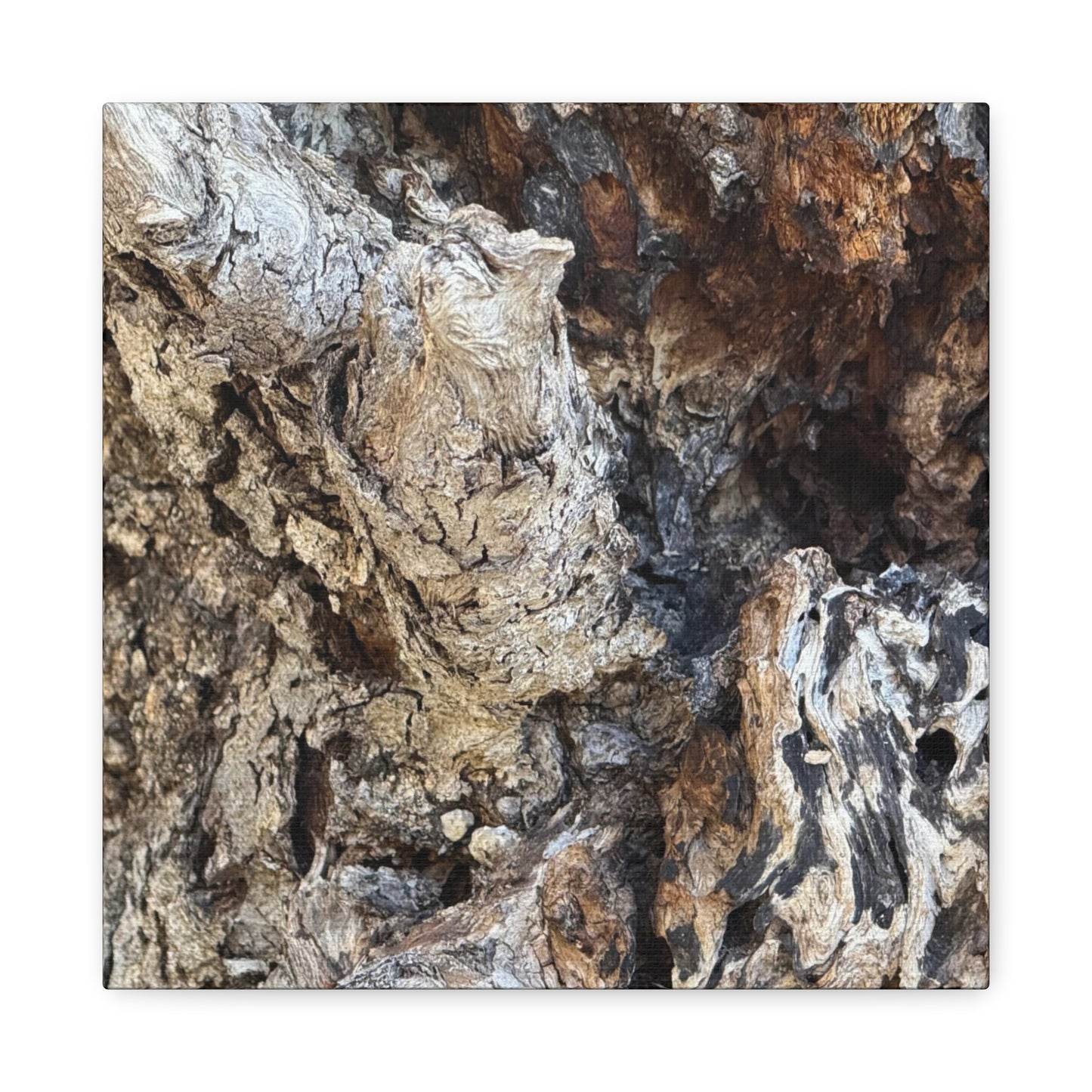 Weathered Bark Texture - Unique Frameless Canvas Wall Art - Art By Earth