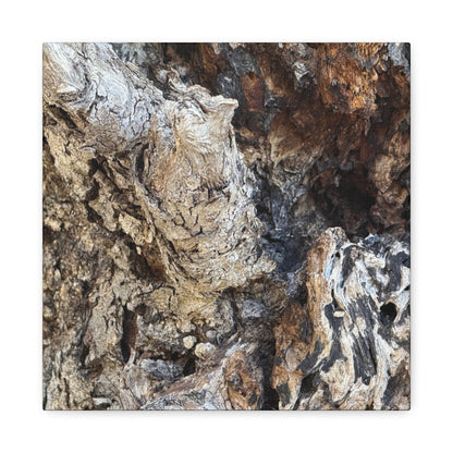 Weathered Bark Texture - Unique Frameless Canvas Wall Art - Art By Earth