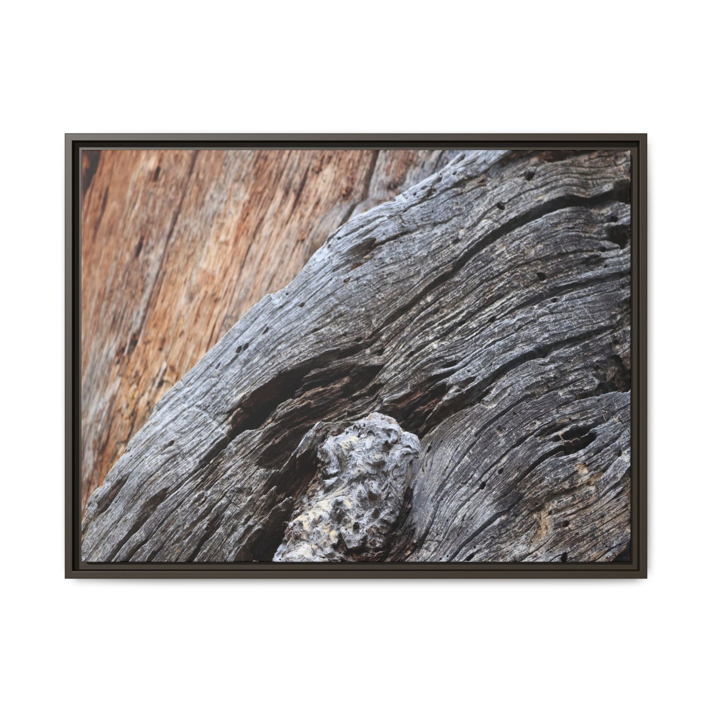 Time's Mark on Timber - Unique Stretched Canvas Wall Art - Art By Earth
