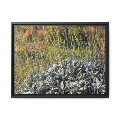 Arid Landscape with Yellow Flowers - Unique Stretched Canvas Wall Art - Art By Earth