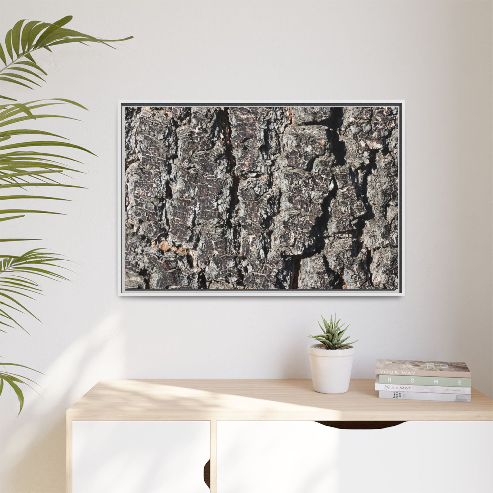 Bark Study in Gray - Unique Stretched Canvas Wall Art - Art By Earth