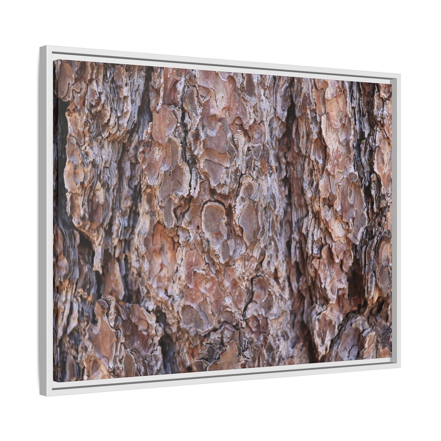 Woody Layers - Unique Stretched Canvas Wall Art - Art By Earth