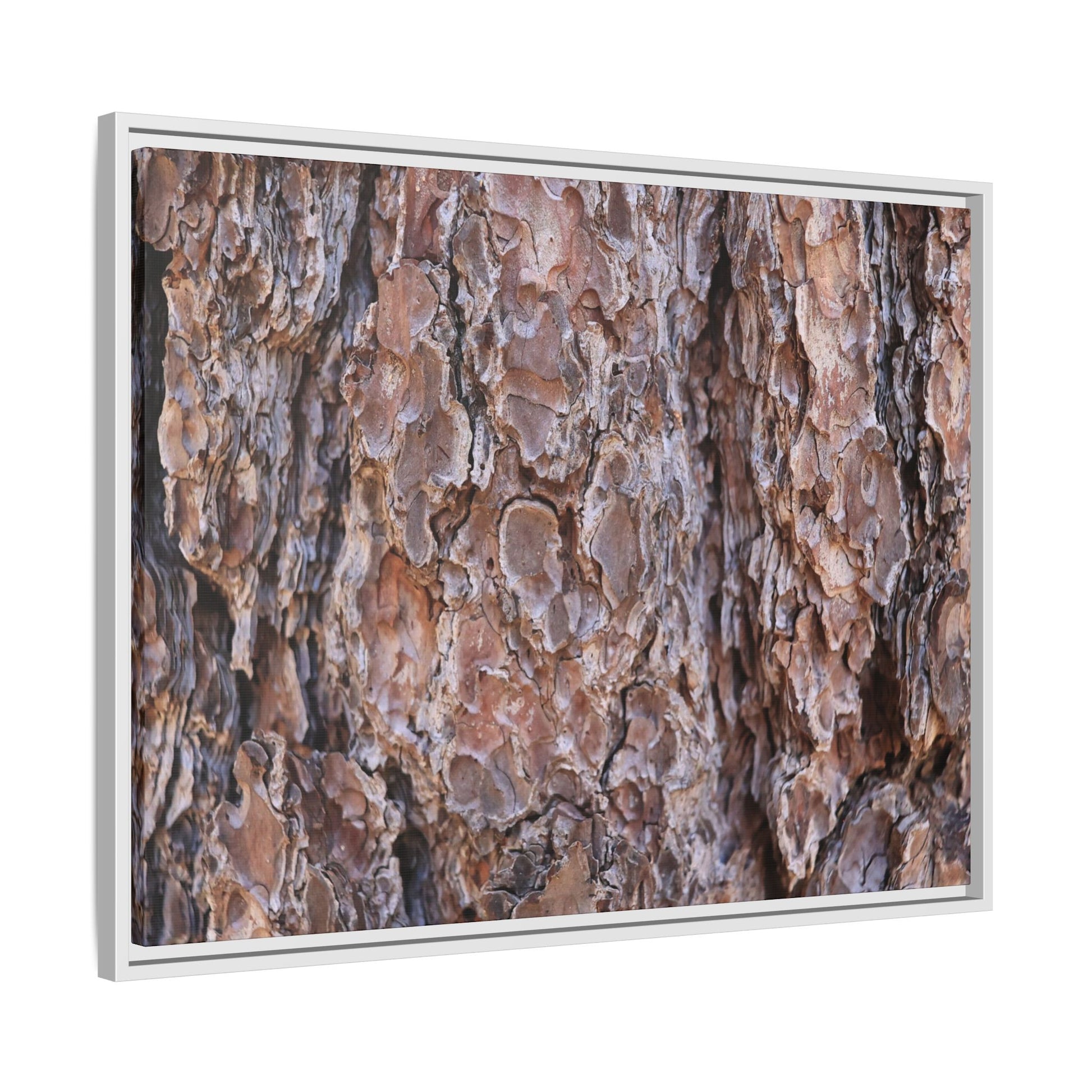 Woody Layers - Unique Stretched Canvas Wall Art - Art By Earth