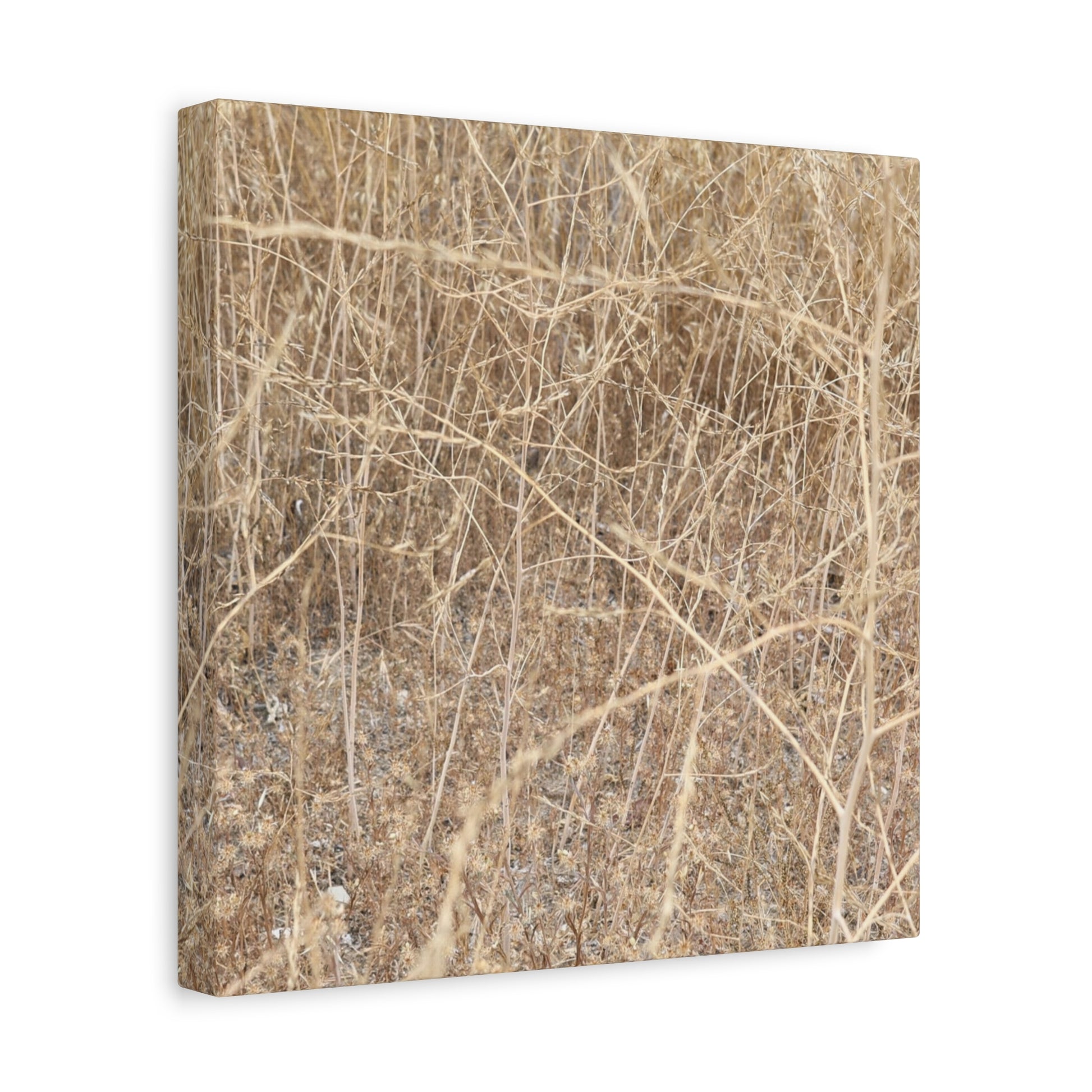 Dry Echoes - Unique Frameless Canvas Wall Art - Art By Earth