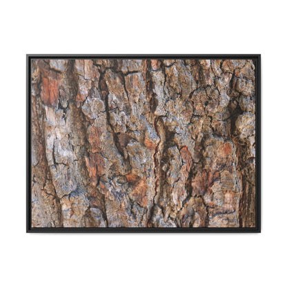 Tree's Timeworn Tale - Unique Stretched Canvas Wall Art - Art By Earth