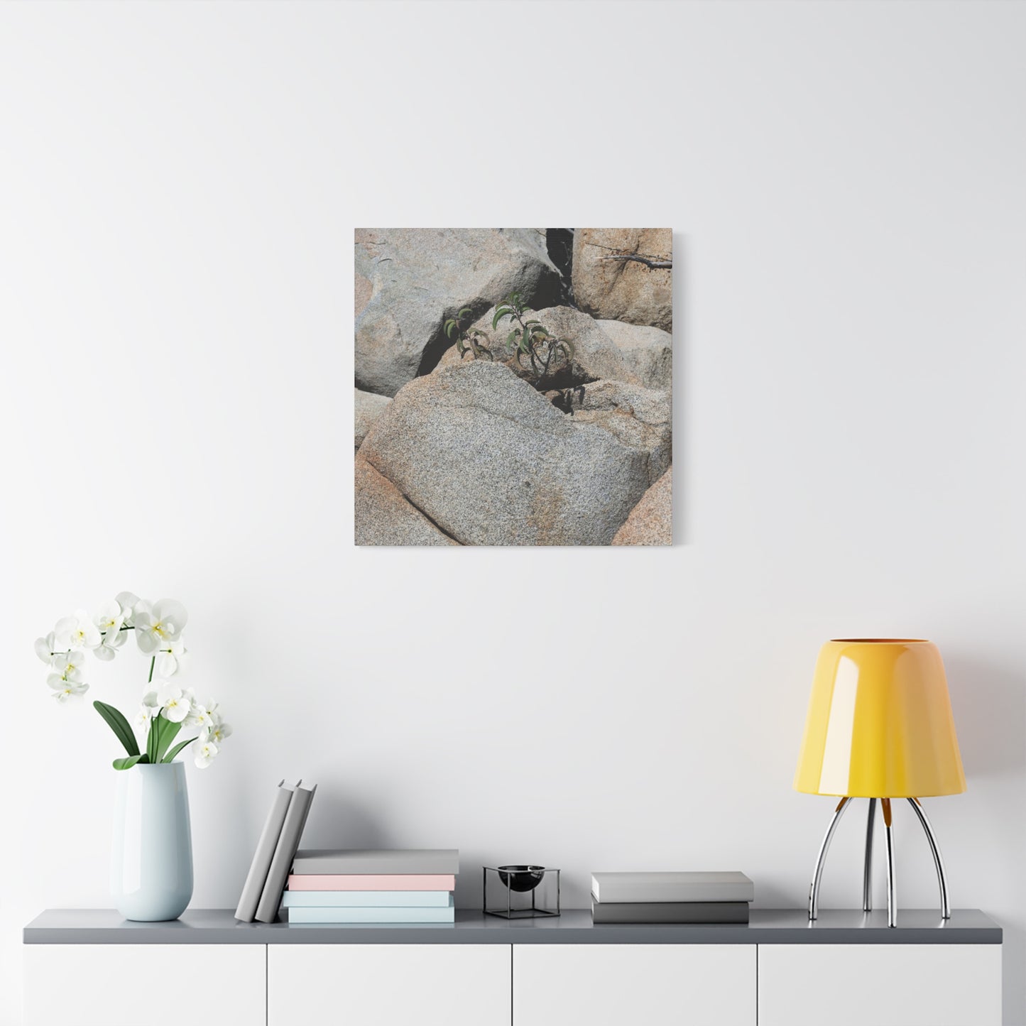 Desert Plant Survives - Unique Frameless Canvas Wall Art