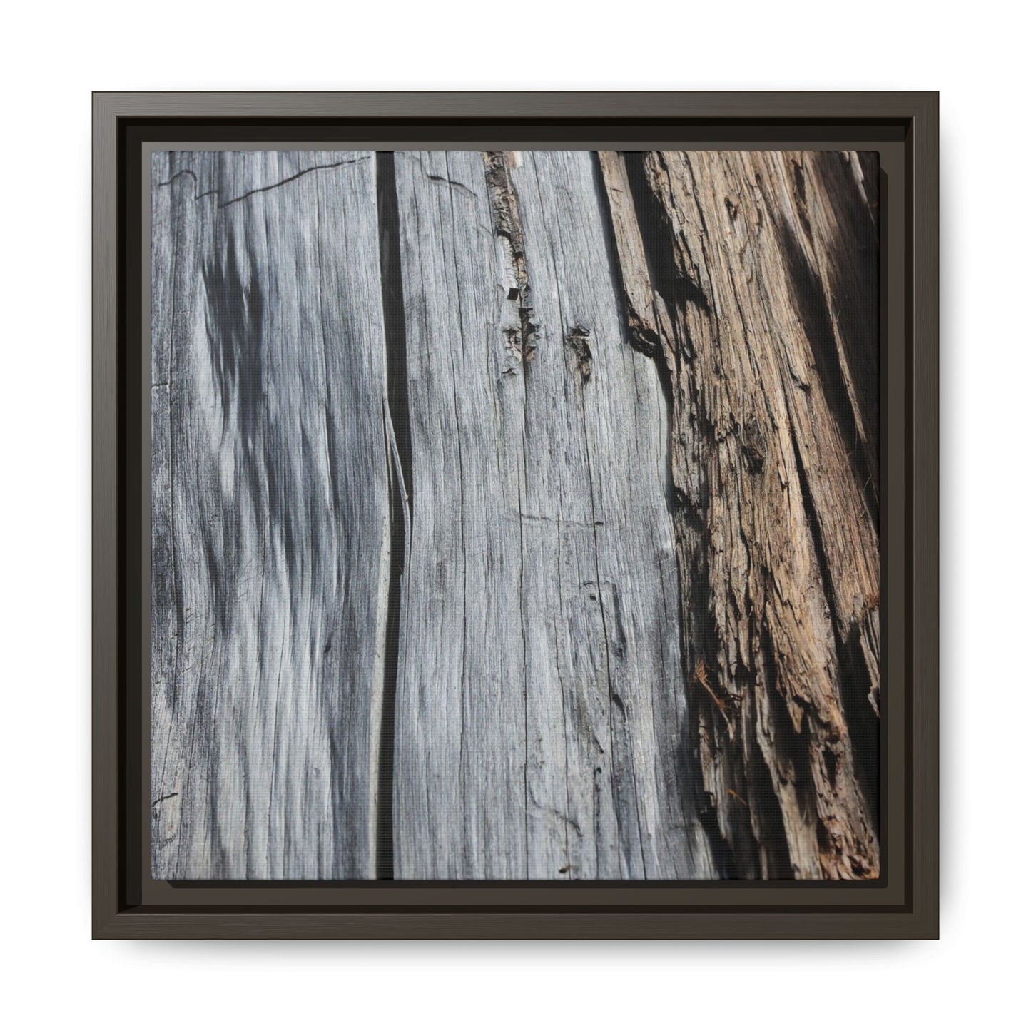 Wood's Lament - Unique Stretched Canvas Wall Art - Art By Earth