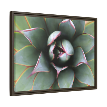 Spiky Elegance - Unique Stretched Canvas Wall Art - Art By Earth