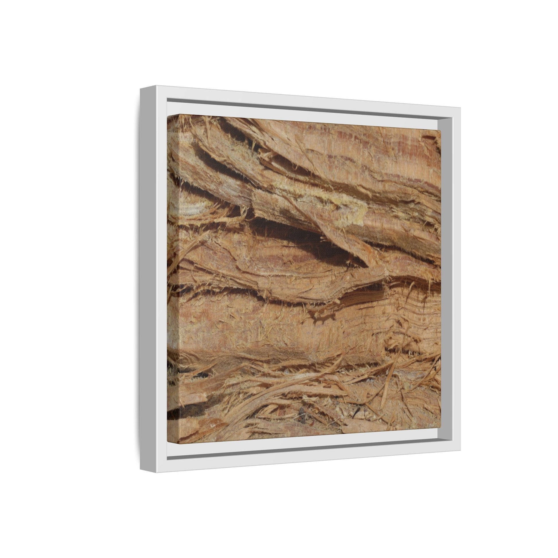 Splintered Bark - Unique Stretched Canvas Wall Art - Art By Earth