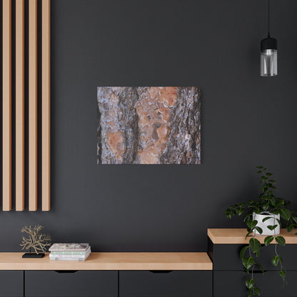 Terracotta Textures - Unique Frameless Canvas Wall Art - Art By Earth