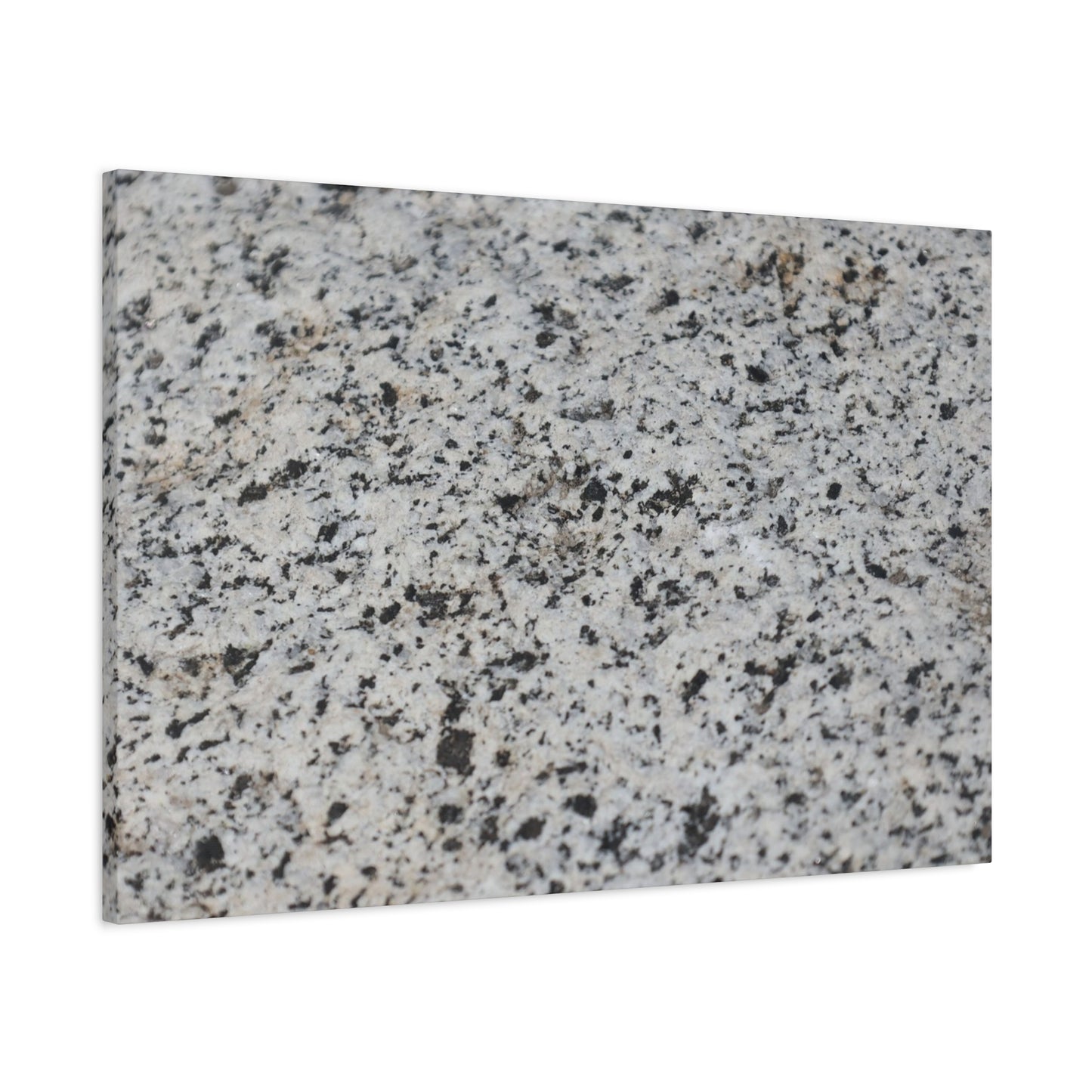 Speckled Silence - Unique Frameless Canvas Wall Art - Art By Earth