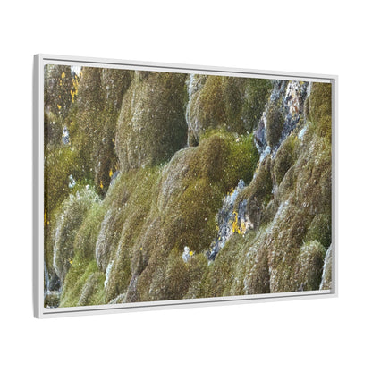 Moss Symphony - Unique Stretched Canvas Wall Art