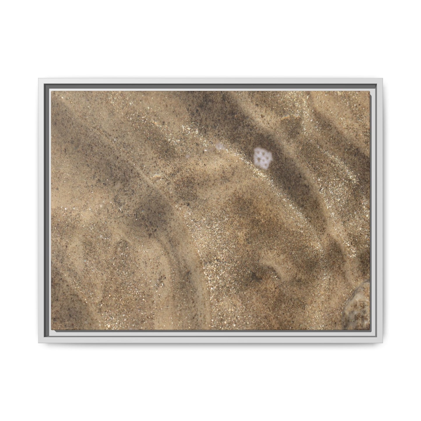 Underwater Sand Exploration - Unique Stretched Canvas Wall Art - Art By Earth