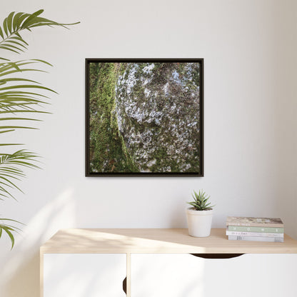 Lichen Landscape - Unique Stretched Canvas Wall Art - Art By Earth