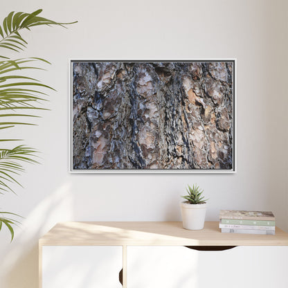 Weathered Patterns - Unique Stretched Canvas Wall Art - Art By Earth