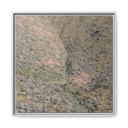 Mountain Slope with Desert Vegetation - Unique Stretched Canvas Wall Art - Art By Earth