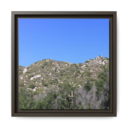 Sparse Vegetation - Unique Stretched Canvas Wall Art