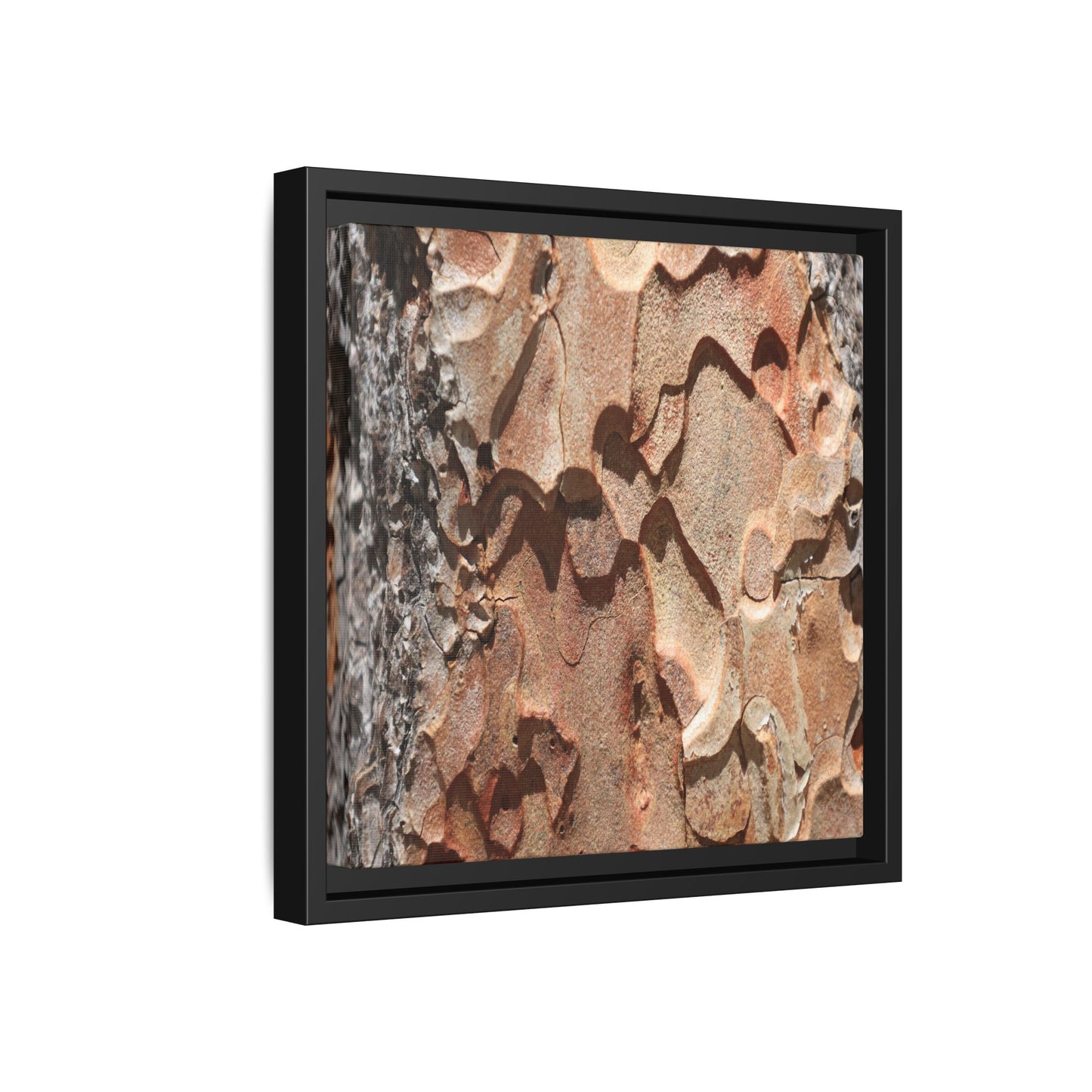 Rust and Stone - Unique Stretched Canvas Wall Art - Art By Earth