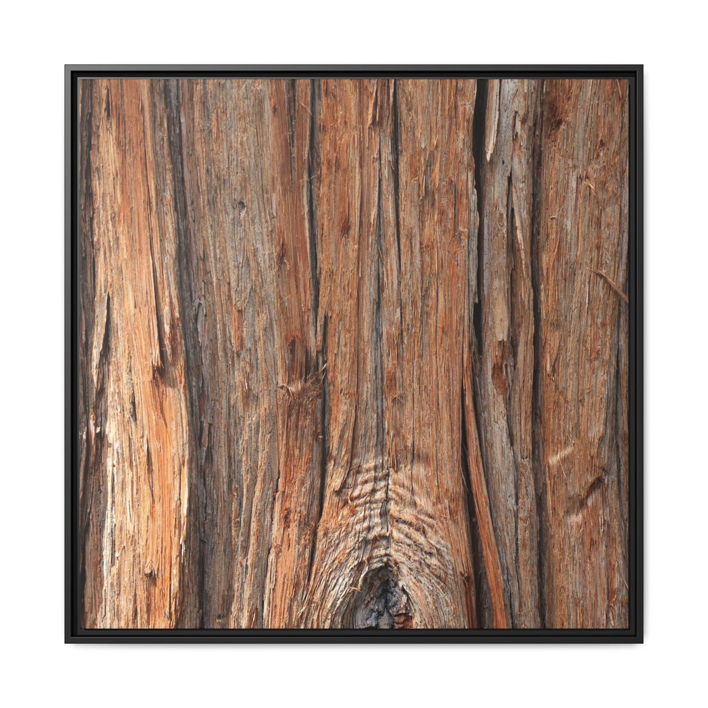 Echoes of Timber - Unique Stretched Canvas Wall Art - Art By Earth