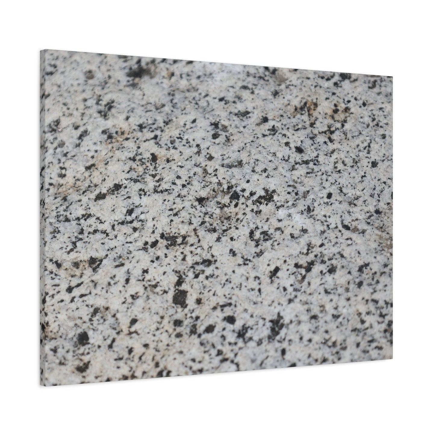 Speckled Silence - Unique Frameless Canvas Wall Art - Art By Earth