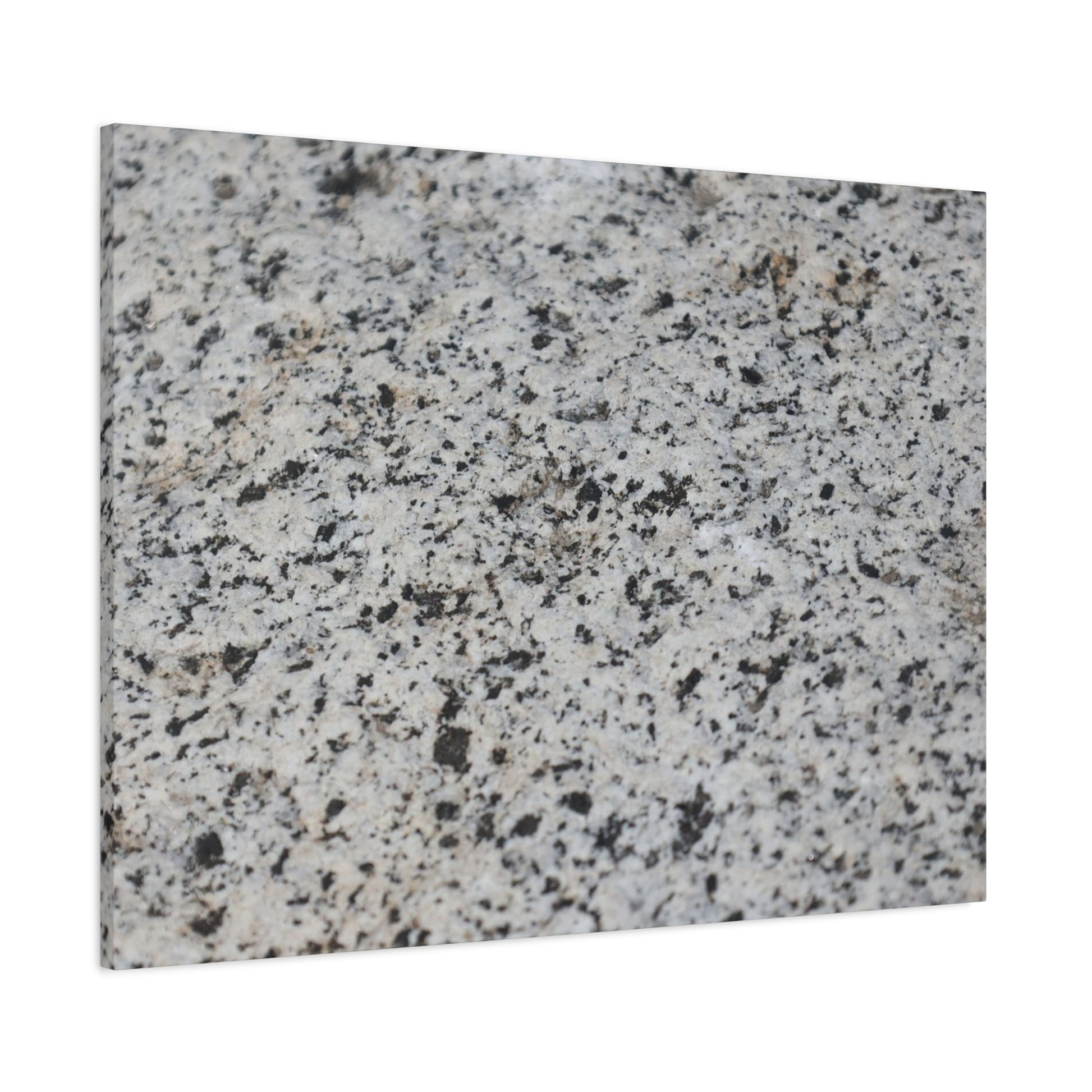 Speckled Silence - Unique Frameless Canvas Wall Art - Art By Earth