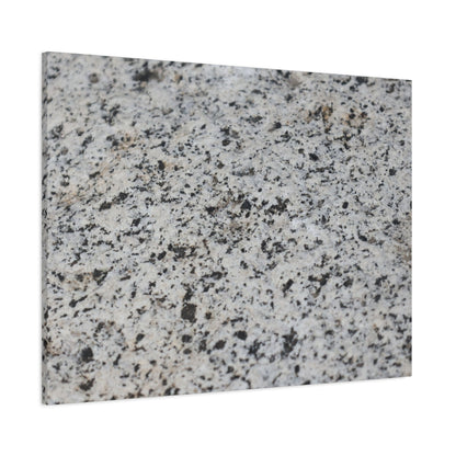 Speckled Silence - Unique Frameless Canvas Wall Art - Art By Earth