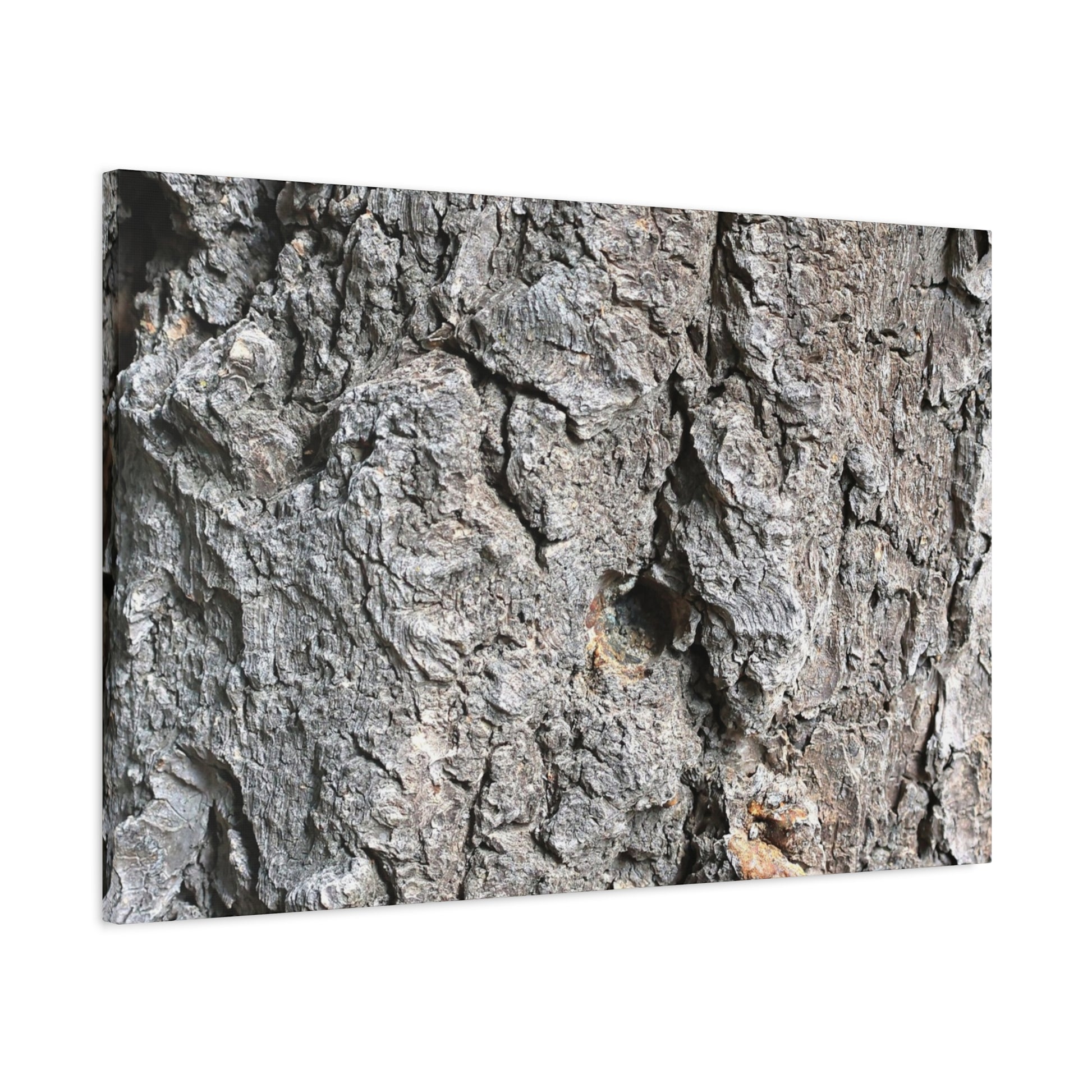 Elemental Canvas - Unique Frameless Canvas Wall Art - Art By Earth