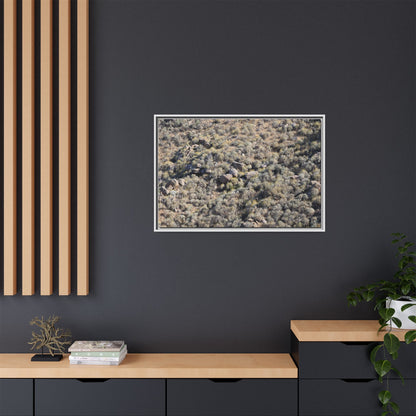 Arid Terrain Study - Unique Stretched Canvas Wall Art - Art By Earth