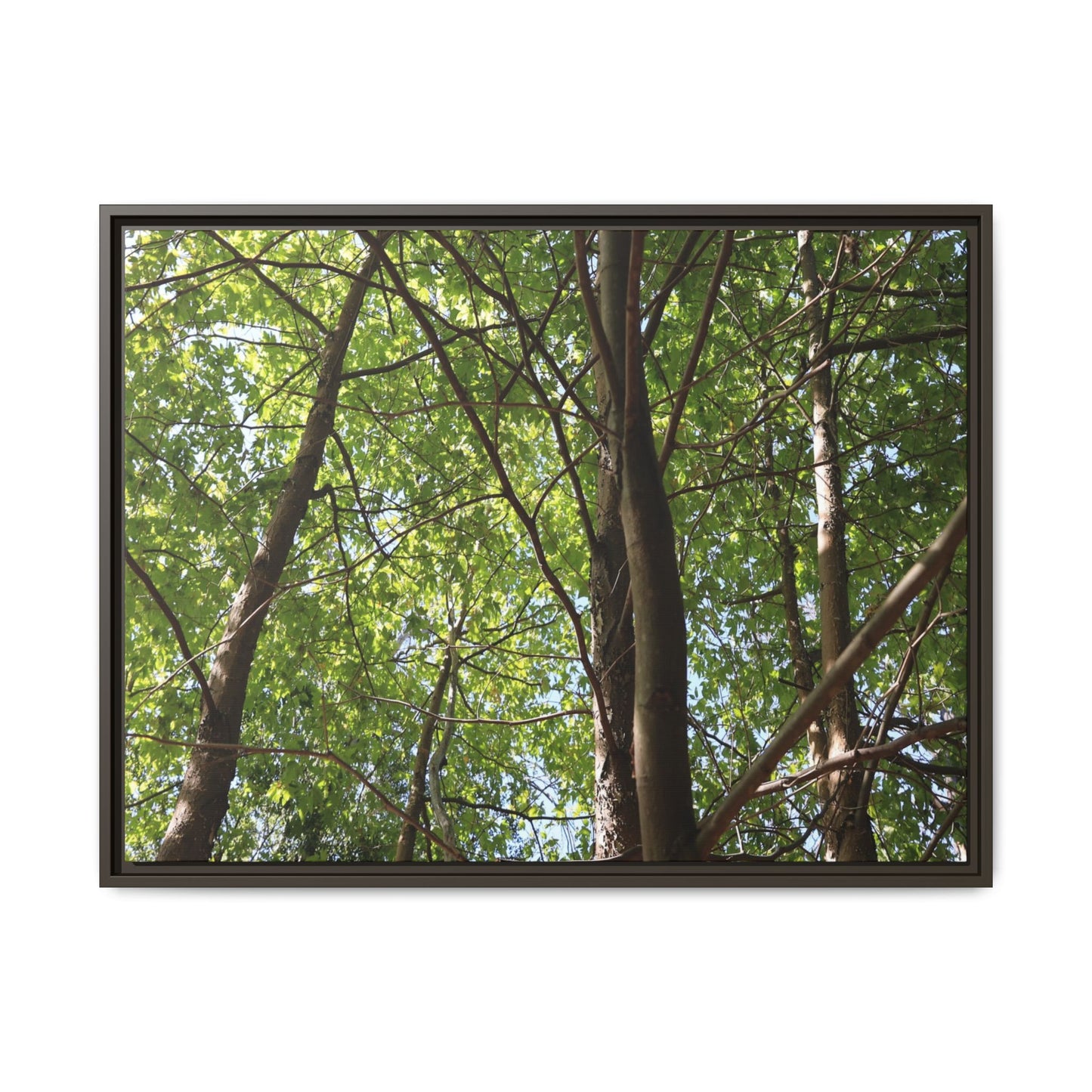 Forest Branches - Unique Stretched Canvas Wall Art