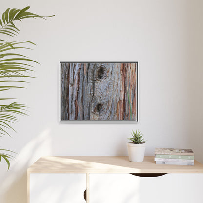 Knotty Nature - Unique Stretched Canvas Wall Art - Art By Earth
