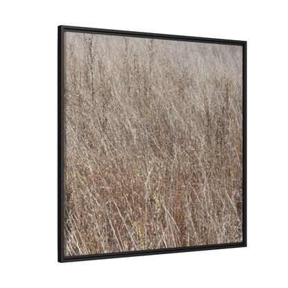 Dry Grass Symphony - Unique Stretched Canvas Wall Art - Art By Earth
