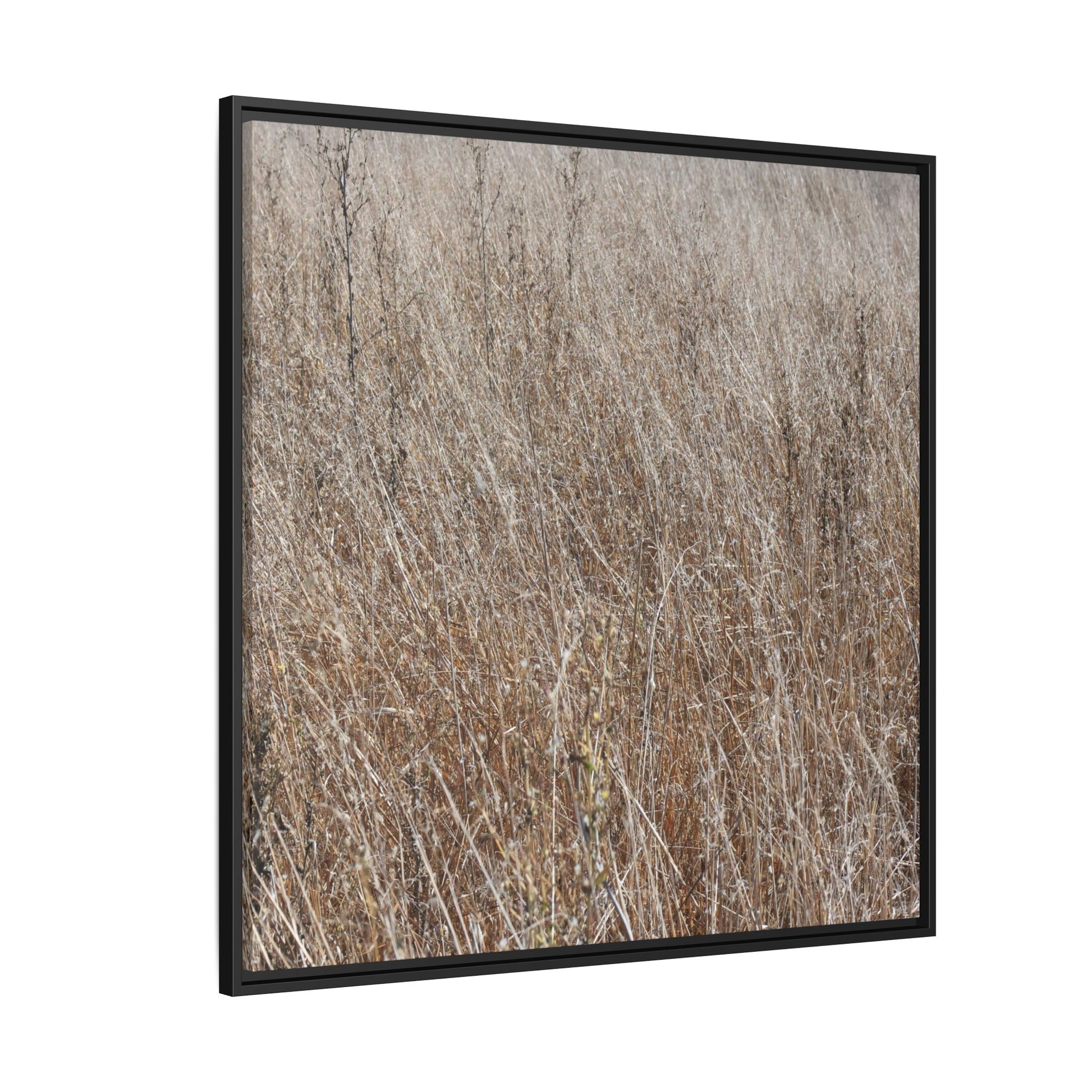 Whispers of Autumn - Unique Stretched Canvas Wall Art - Art By Earth