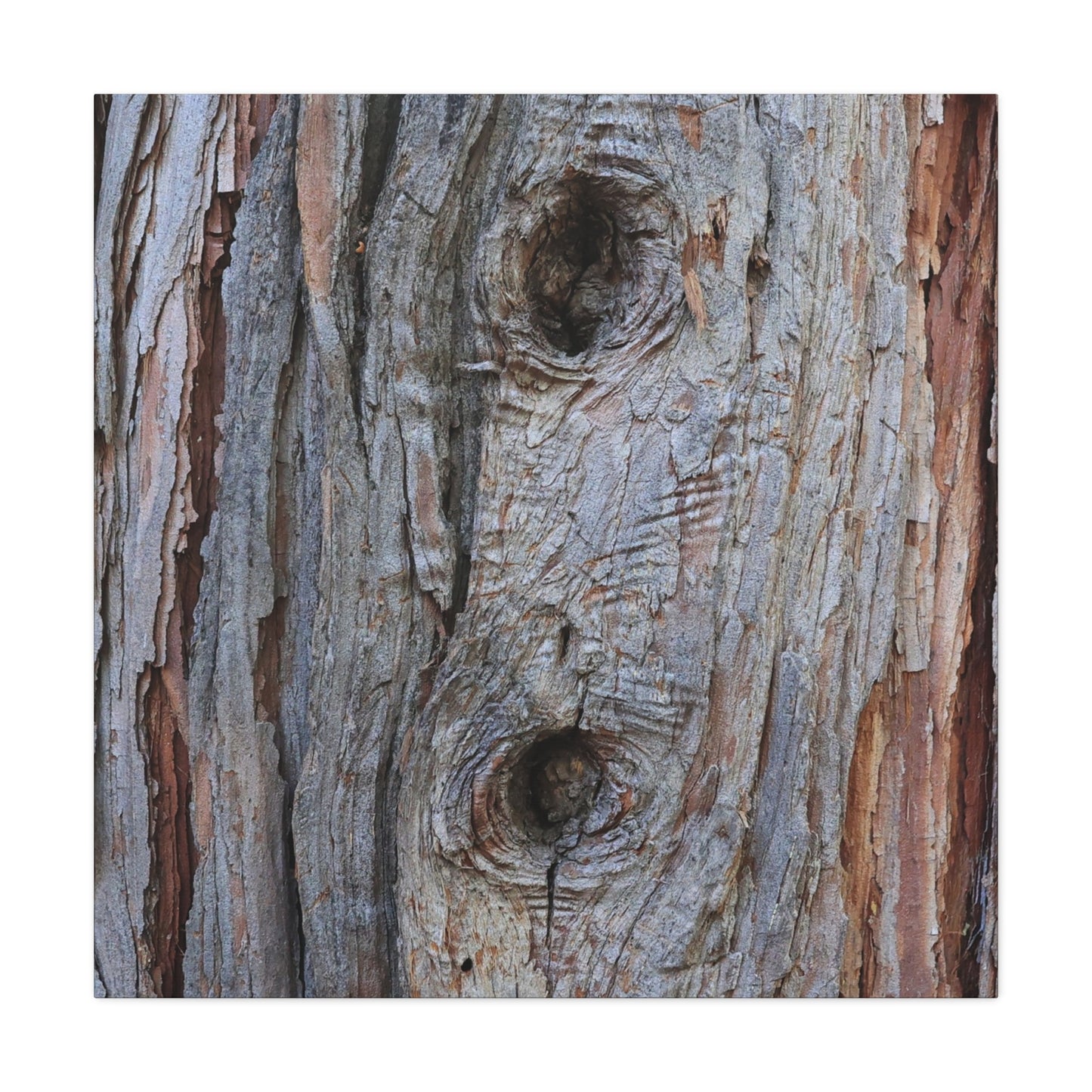 Wooden Memoir - Unique Frameless Canvas Wall Art - Art By Earth